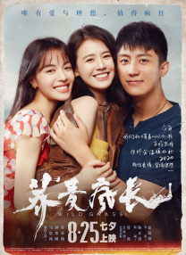 远亲小姐2